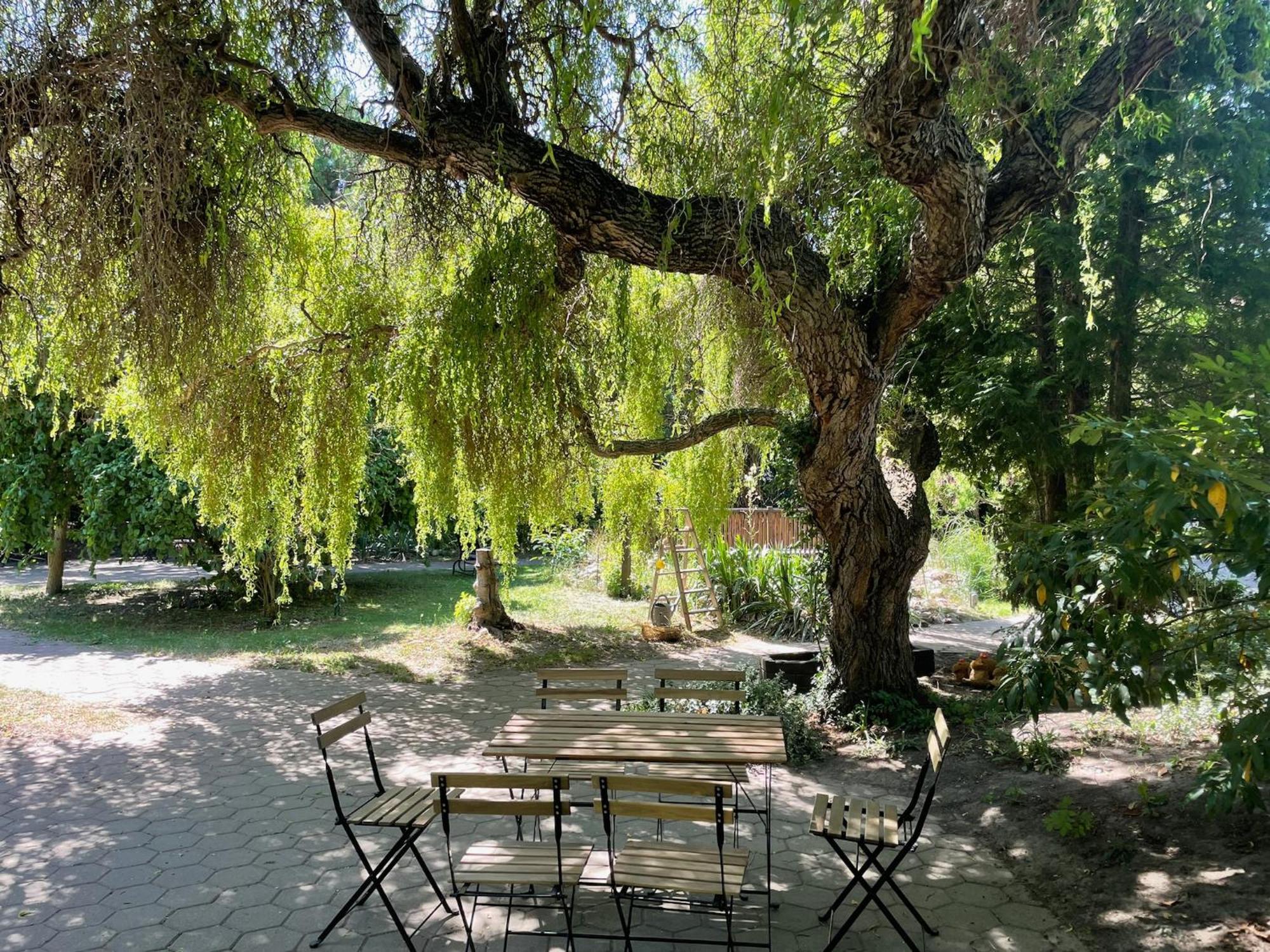 Harzhotel Warnstedter Krug 3*